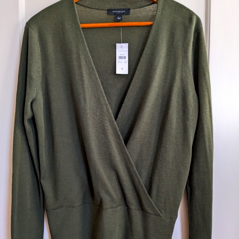 NWT Ann Taylor top, size- L